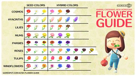 New Horizons Flower Chart