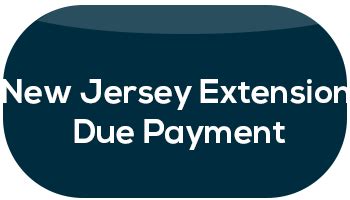 new jersey extension due date