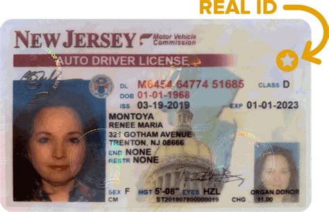 new jersey license requirements