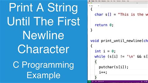 New Line Character In String C#