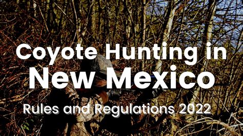 new mexico coyote hunting regulations