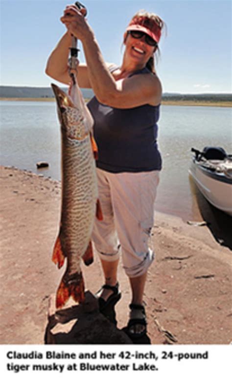 New Mexico Fish Stocking Report