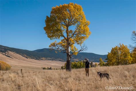 new mexico photography workshops