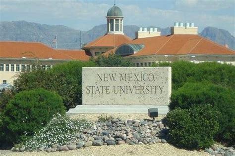 New Mexico State Year