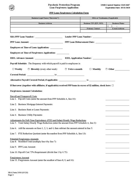 new sba ppp loan forgiveness application form