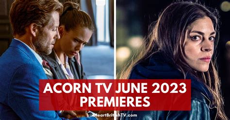 new shows on acorn tv 2024