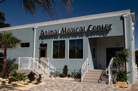 new smyrna animal medical center