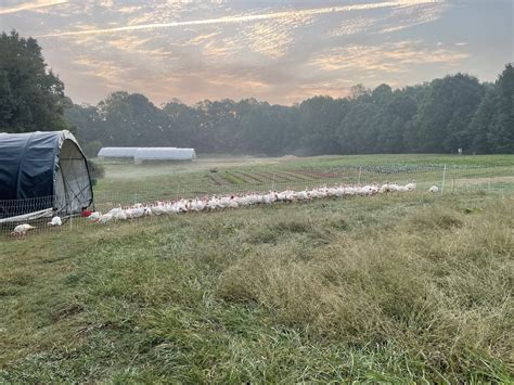 new town farms waxhaw nc