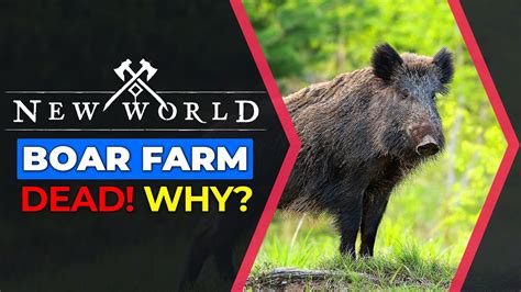 new world boar farm