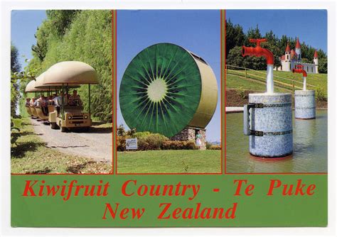 new world mailer te puke nz