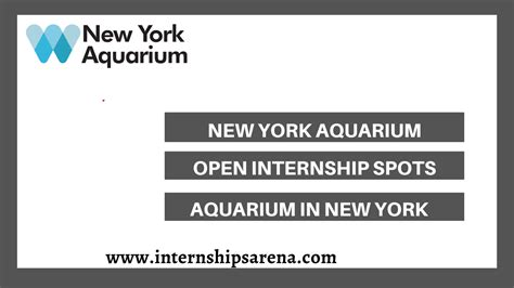 new york aquarium internship