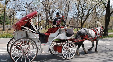 new york central park horse carriage rides