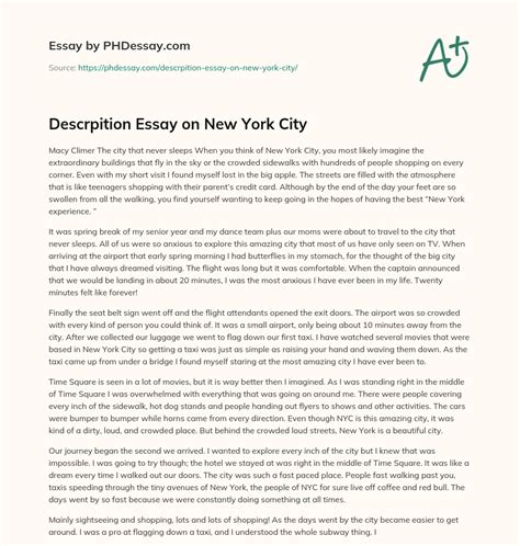 new york city essay