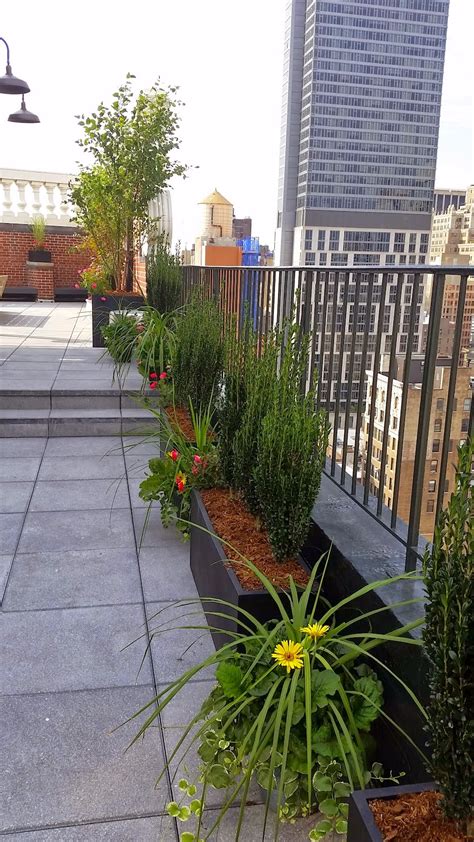new york plantings garden designers and landscape contracting nyc