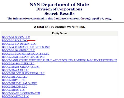 new york registry entity search