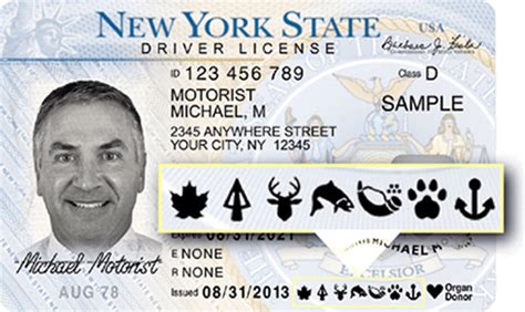 new york state sportsman license