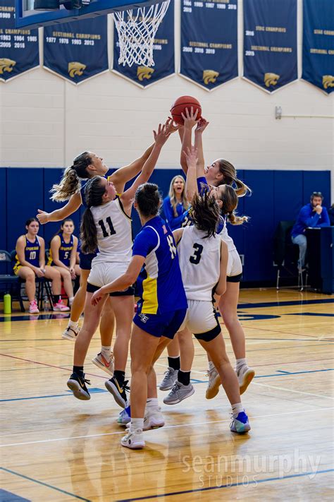 newark valley girls varsity basketball scores