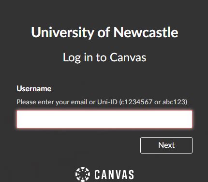 newcastle canvas access