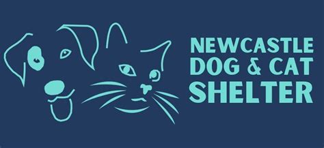 newcastle cat and dog shelter facebook