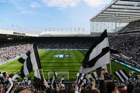 newcastle united v brighton result