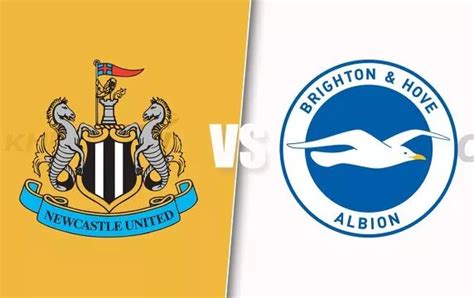 newcastle united vs brighton postponed