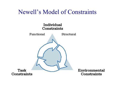 newell's model of constraints examples