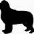 newfoundland dog silhouette