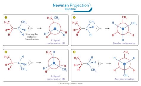 newman projection examples