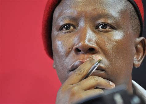 news 24 south africa today malema