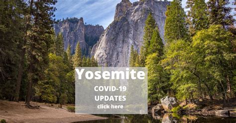 news from yosemite covid-19