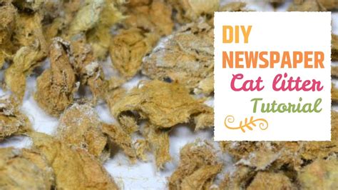 Newspaper Kitty Litter