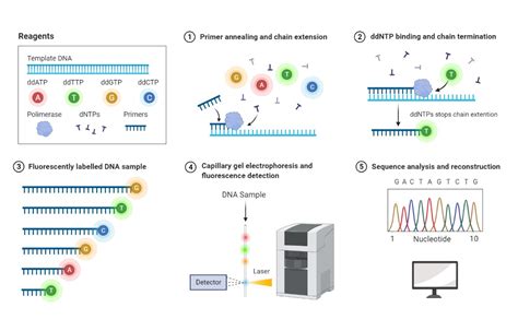 next generation sequencing data quality control