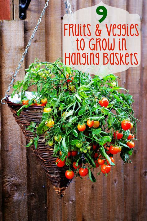 Next Hanging Vegetable Baskets