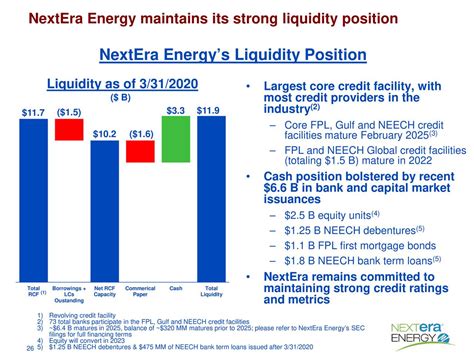 nextera energy earnings report