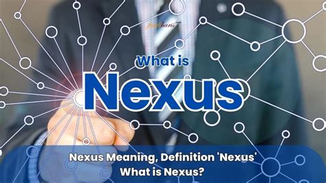 nexus definition legal