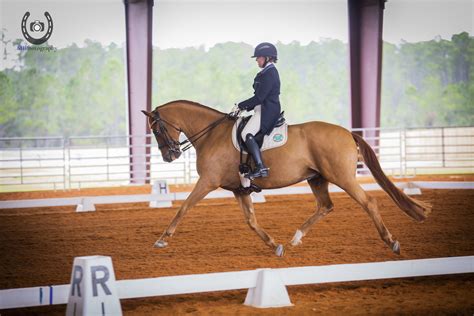 nfda dressage schooling show