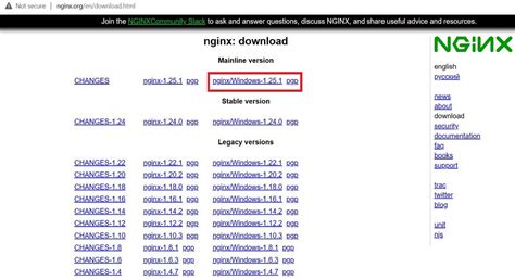Nginx Download