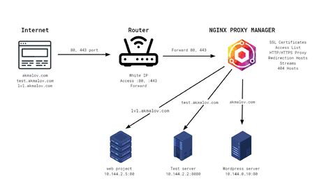 nginx proxy manager change ip address