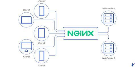 nginx script for webserver backup