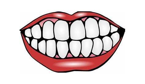 PNG لوگو دندان - Tooth Logo PNG Free – دانلود رایگان