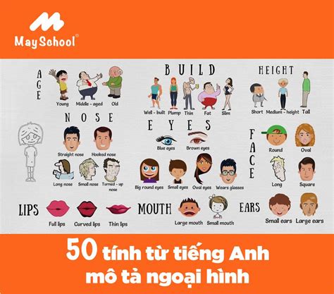 ngoại hình trong tiếng anh là gì