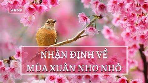 nhận định về mùa xuân