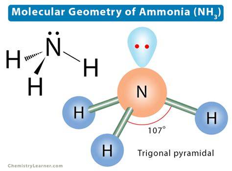 48+ What Is The Molecular Geometry Of Nh3 PNG GM