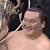 nhk grand sumo day 12 march 2019 live stream replay