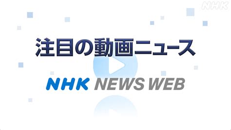 nhk news web 動画