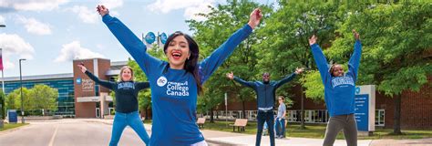 Niagara College Online Summer Courses: A Guide To Enhancing Your Skills And Knowledge