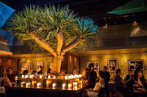 Nice Bars In Costa Mesa