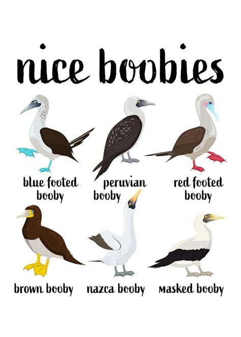Nice Boobies