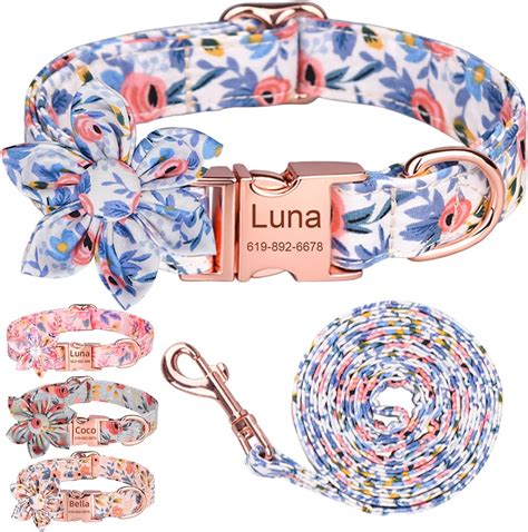 Nice Dog Collars And Leashes