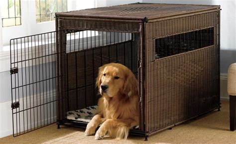 Nice Dog Crates Uk